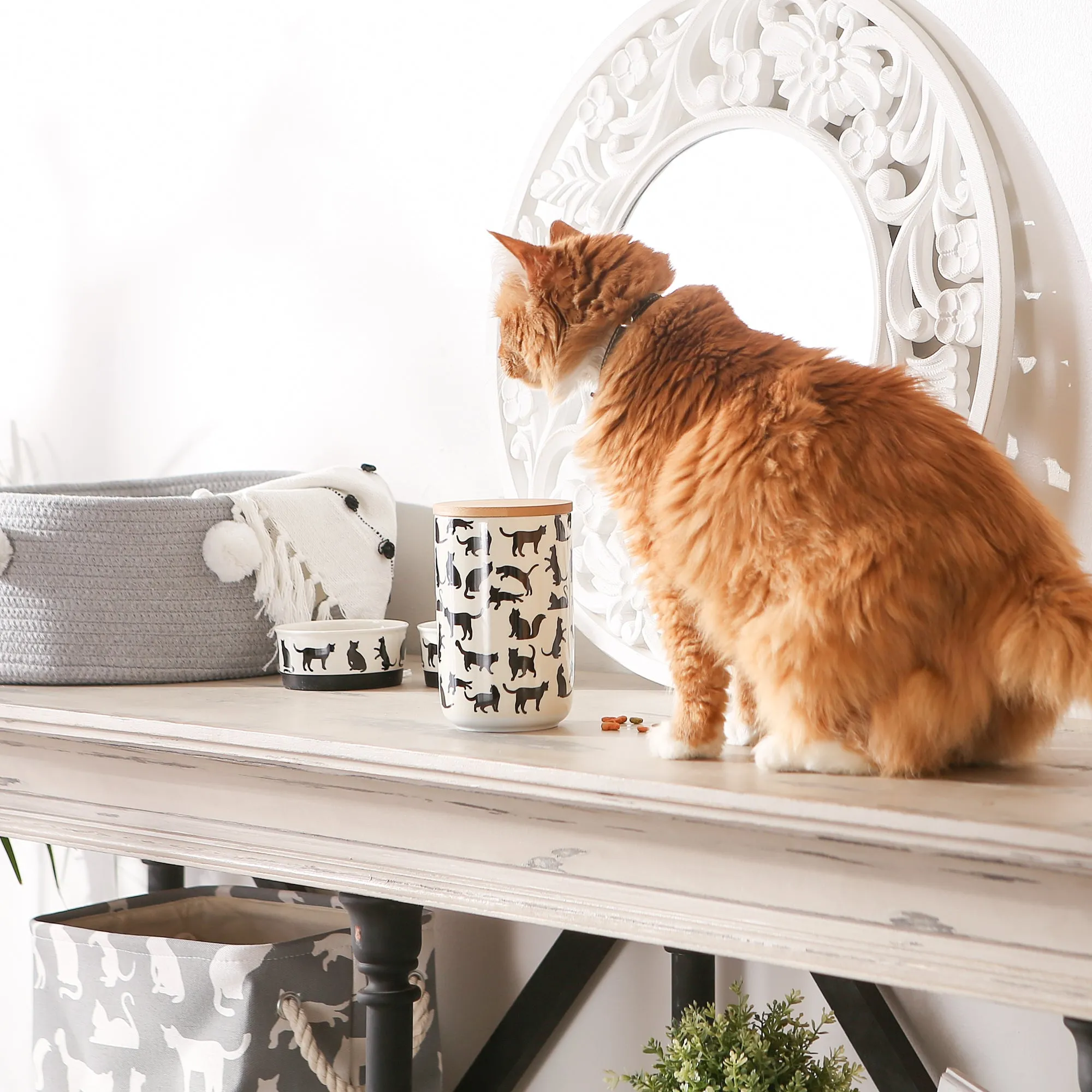 Black/White Cat's Meow Pet Treat Canister 4 Cup Capacity
