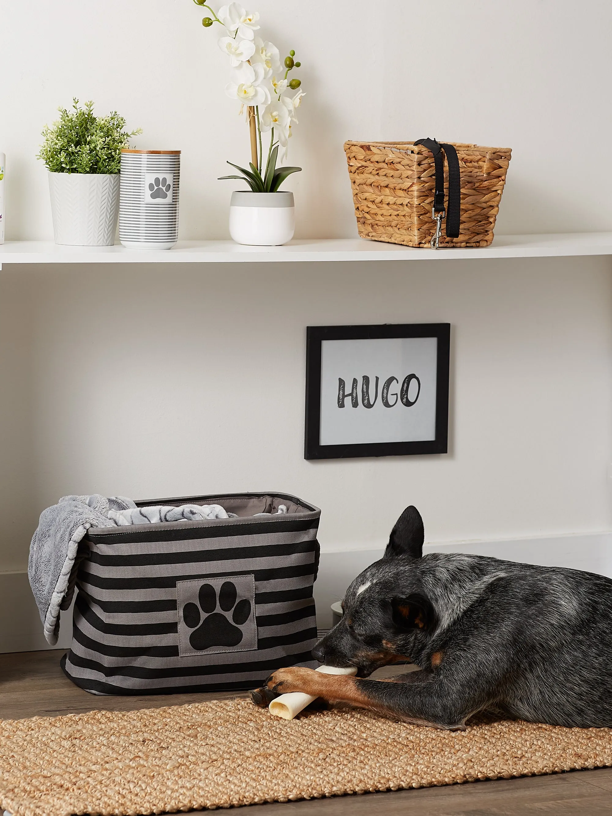 Bone Dry Pet Storage Bin, Striped Paw Patch, Black, Medium - 16x10x12"