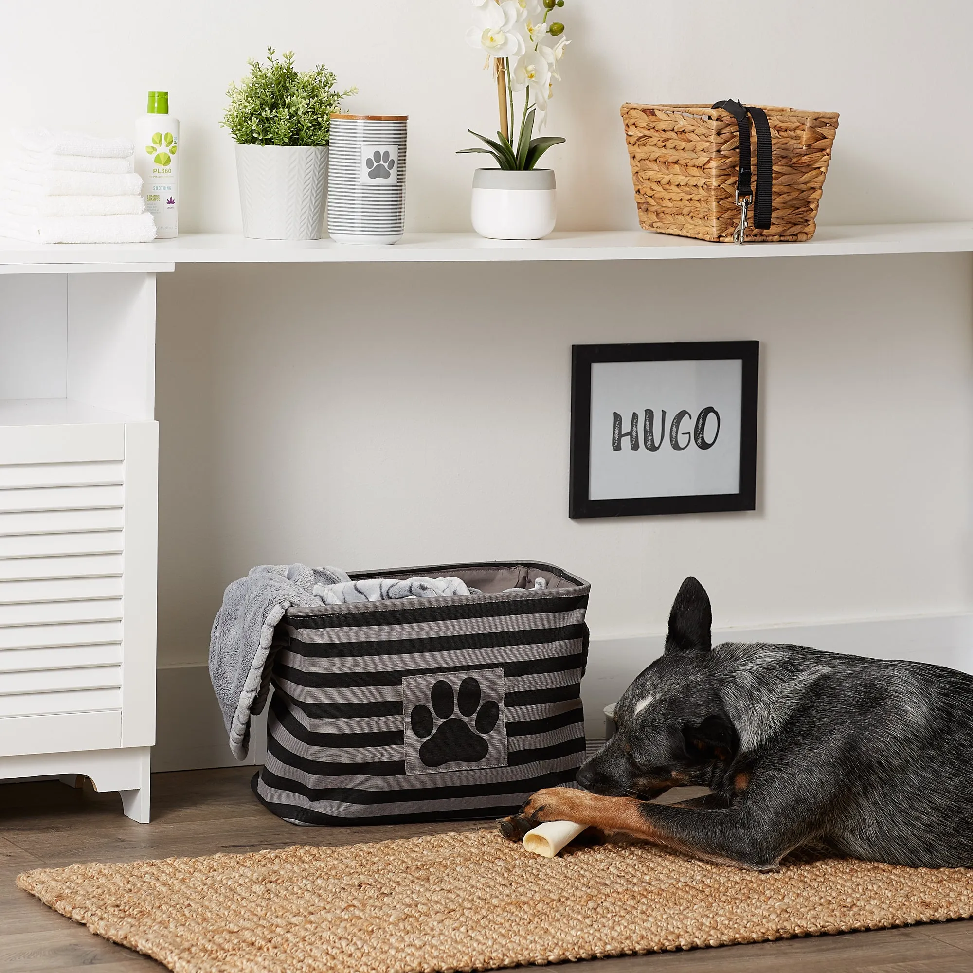 Bone Dry Pet Storage Bin, Striped Paw Patch, Black, Medium - 16x10x12"