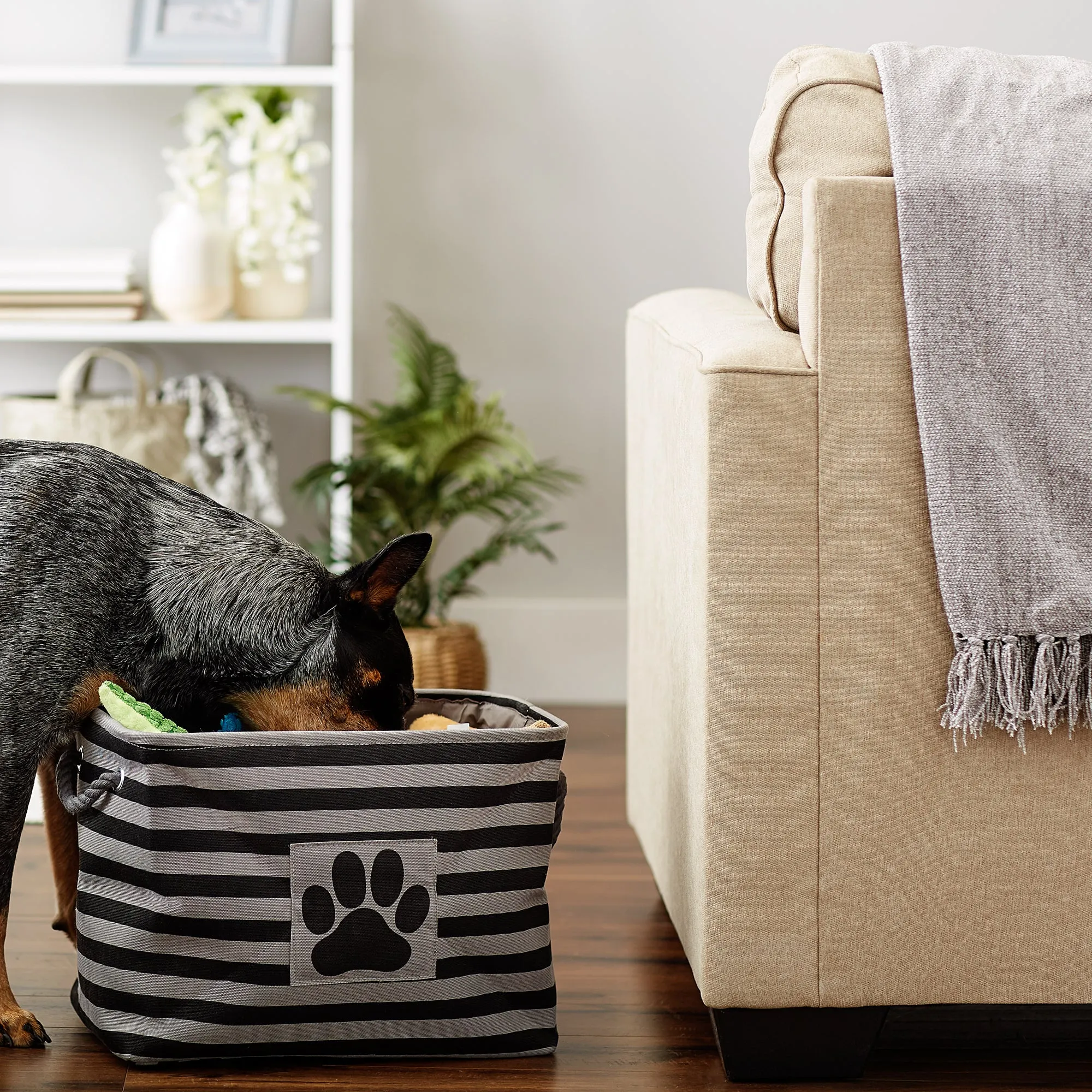 Bone Dry Pet Storage Bin, Striped Paw Patch, Black, Medium - 16x10x12"