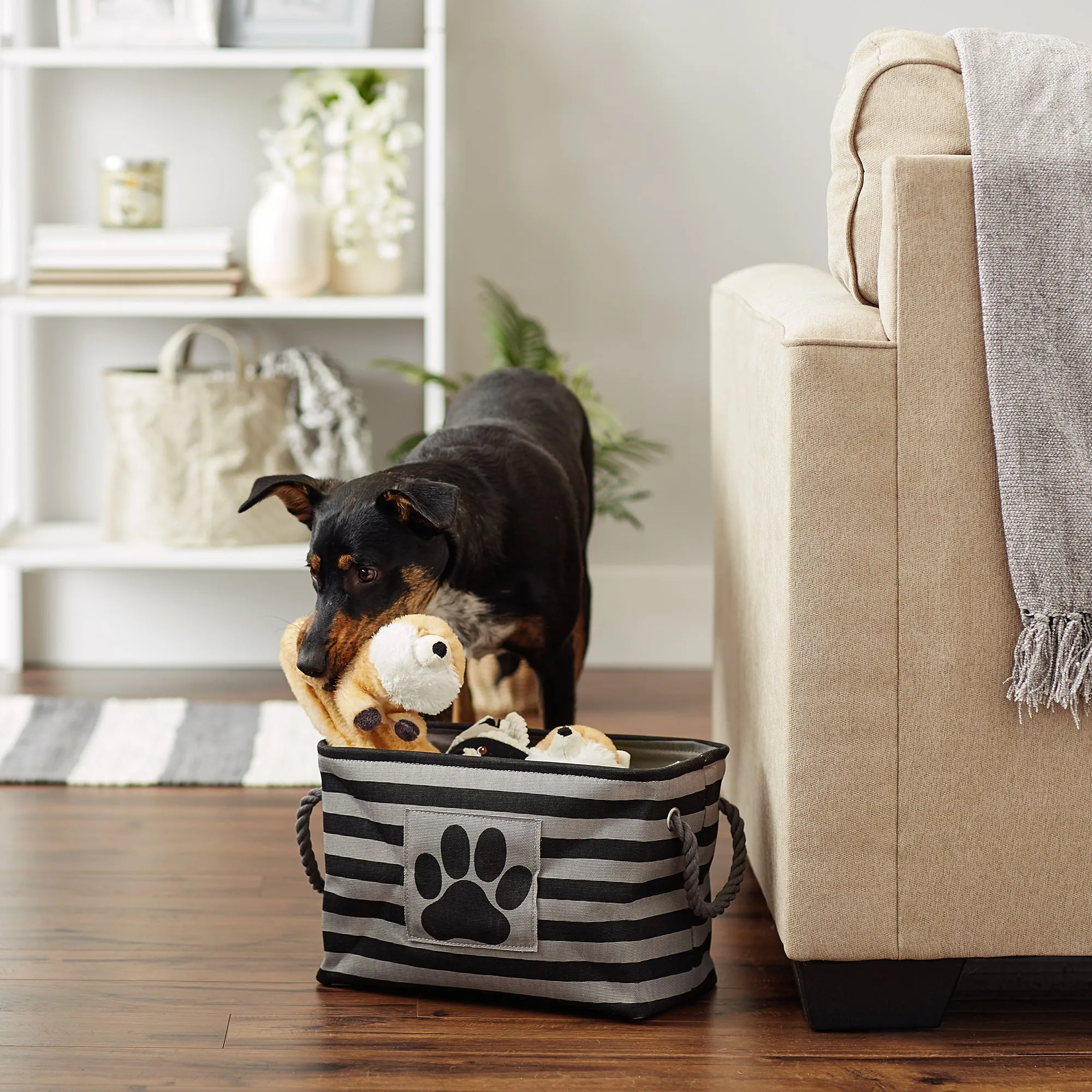 Bone Dry Pet Storage Bin, Striped Paw Patch, Black, Small - 14x8x9"