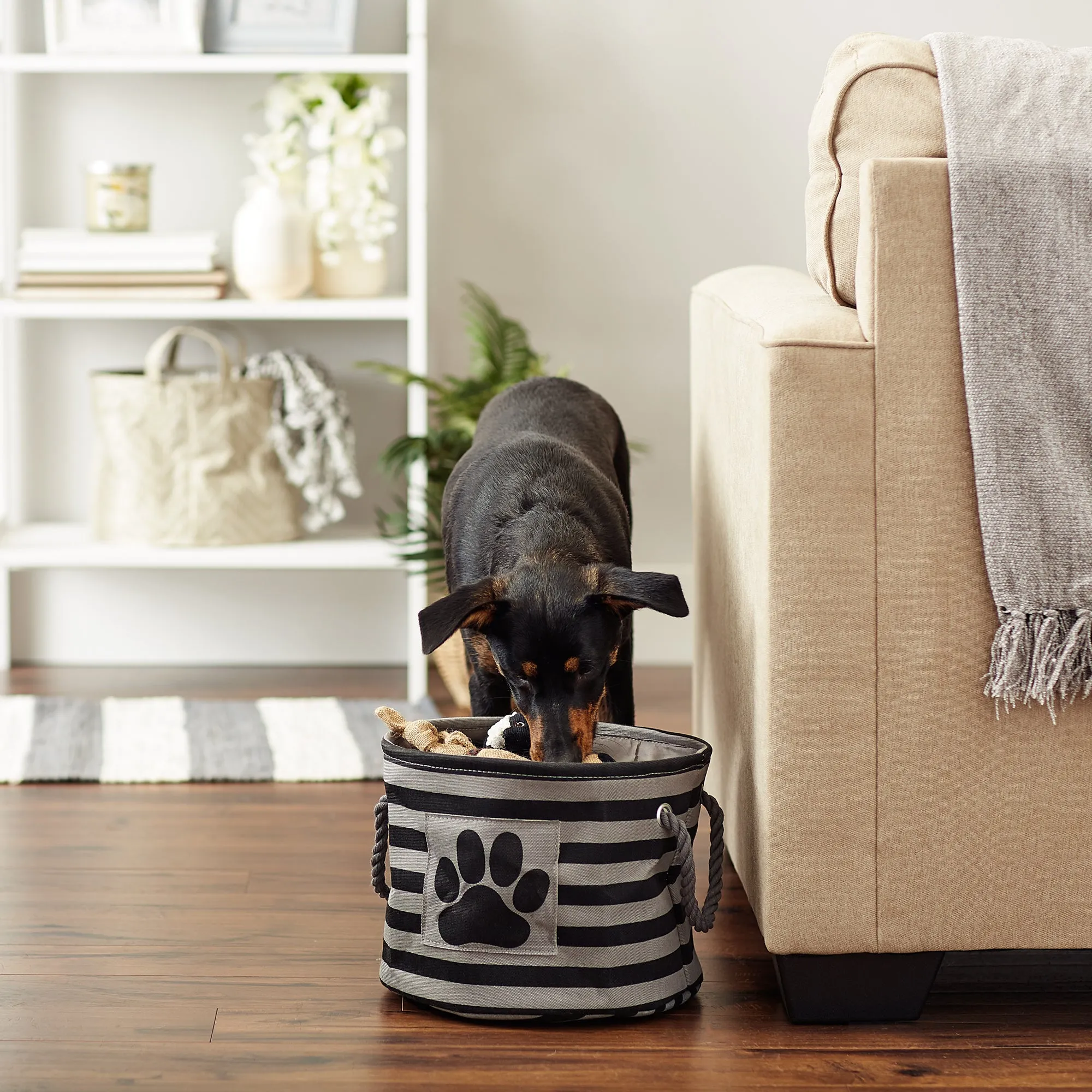 Bone Dry Pet Storage Bin, Striped Paw Patch, Black, Small Round - 12x9"