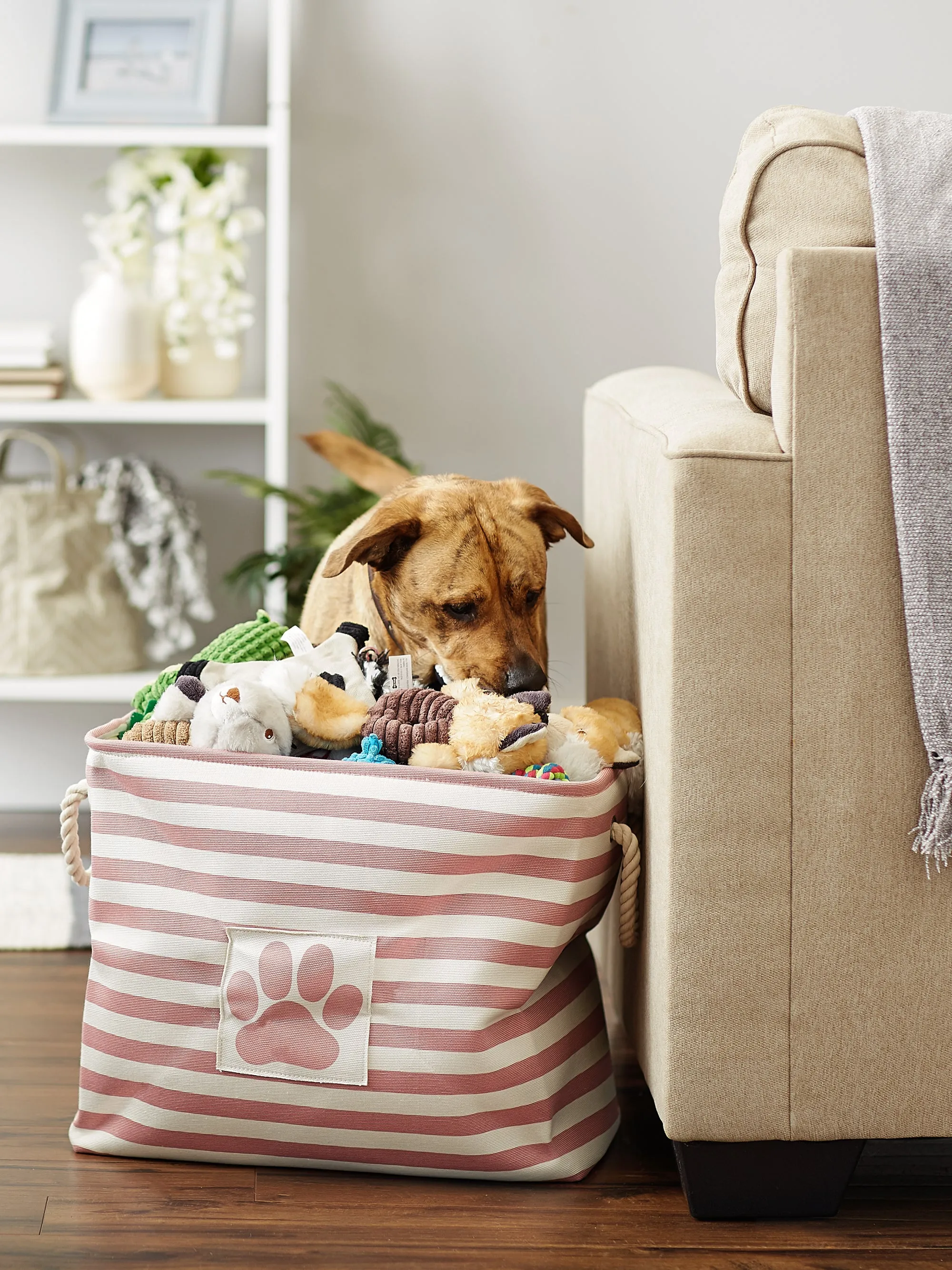 Bone Dry Pet Storage Bin, Striped Paw Patch, Rose, Large - 17.5x12x15"