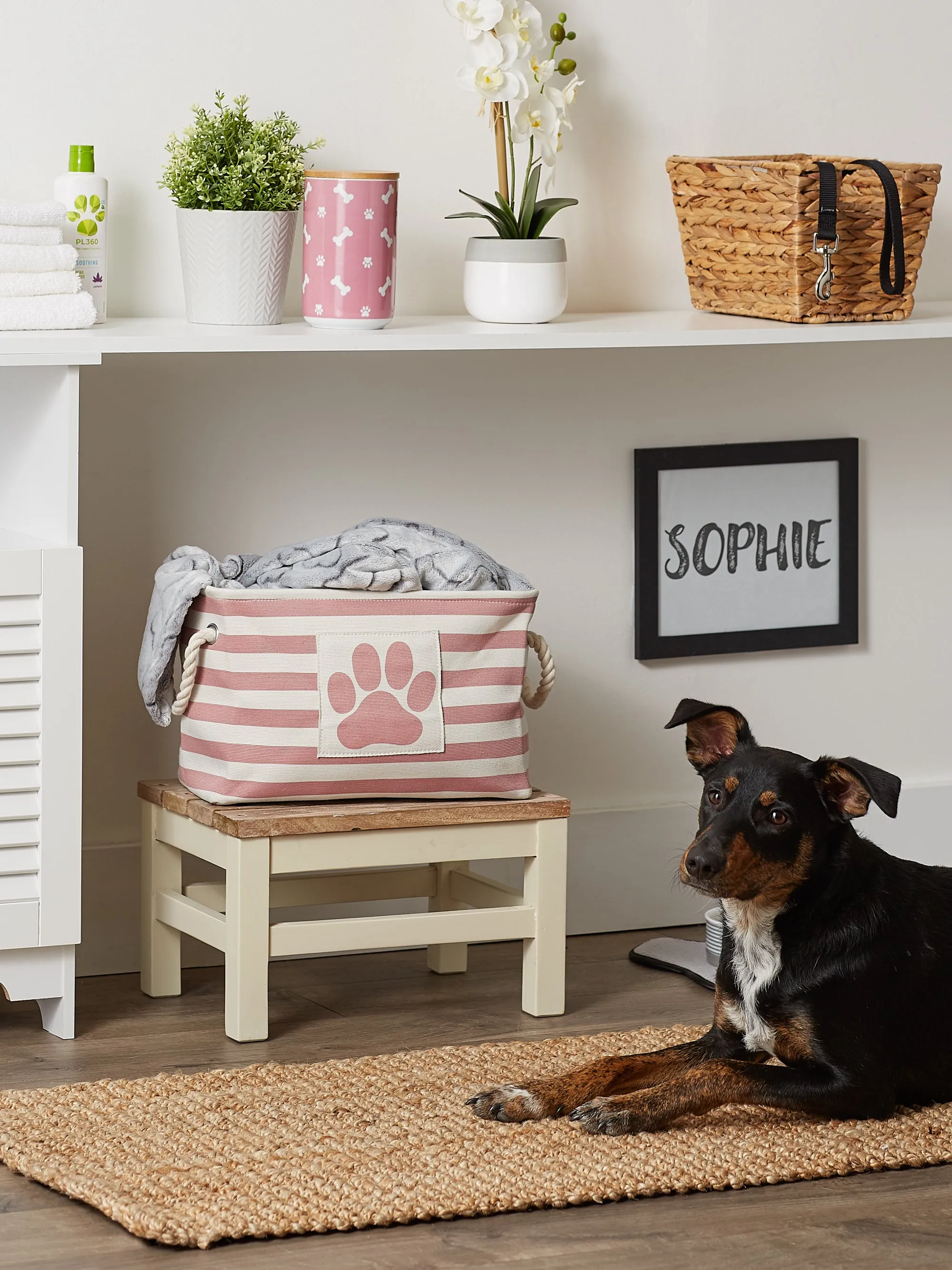 Bone Dry Pet Storage Bin, Striped Paw Patch, Rose, Small - 14x8x9"