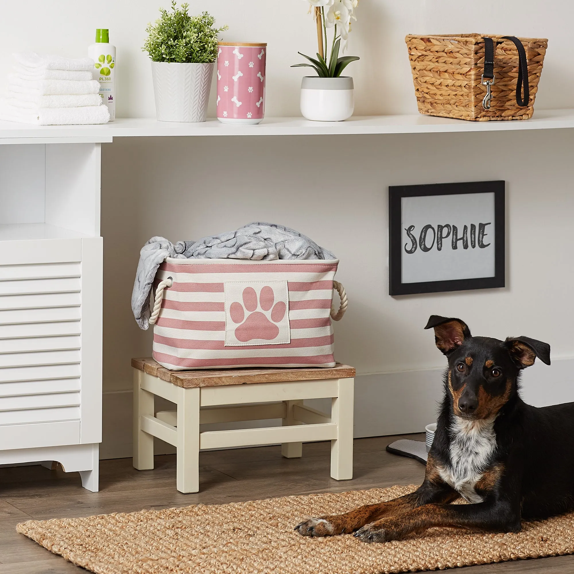 Bone Dry Pet Storage Bin, Striped Paw Patch, Rose, Small - 14x8x9"