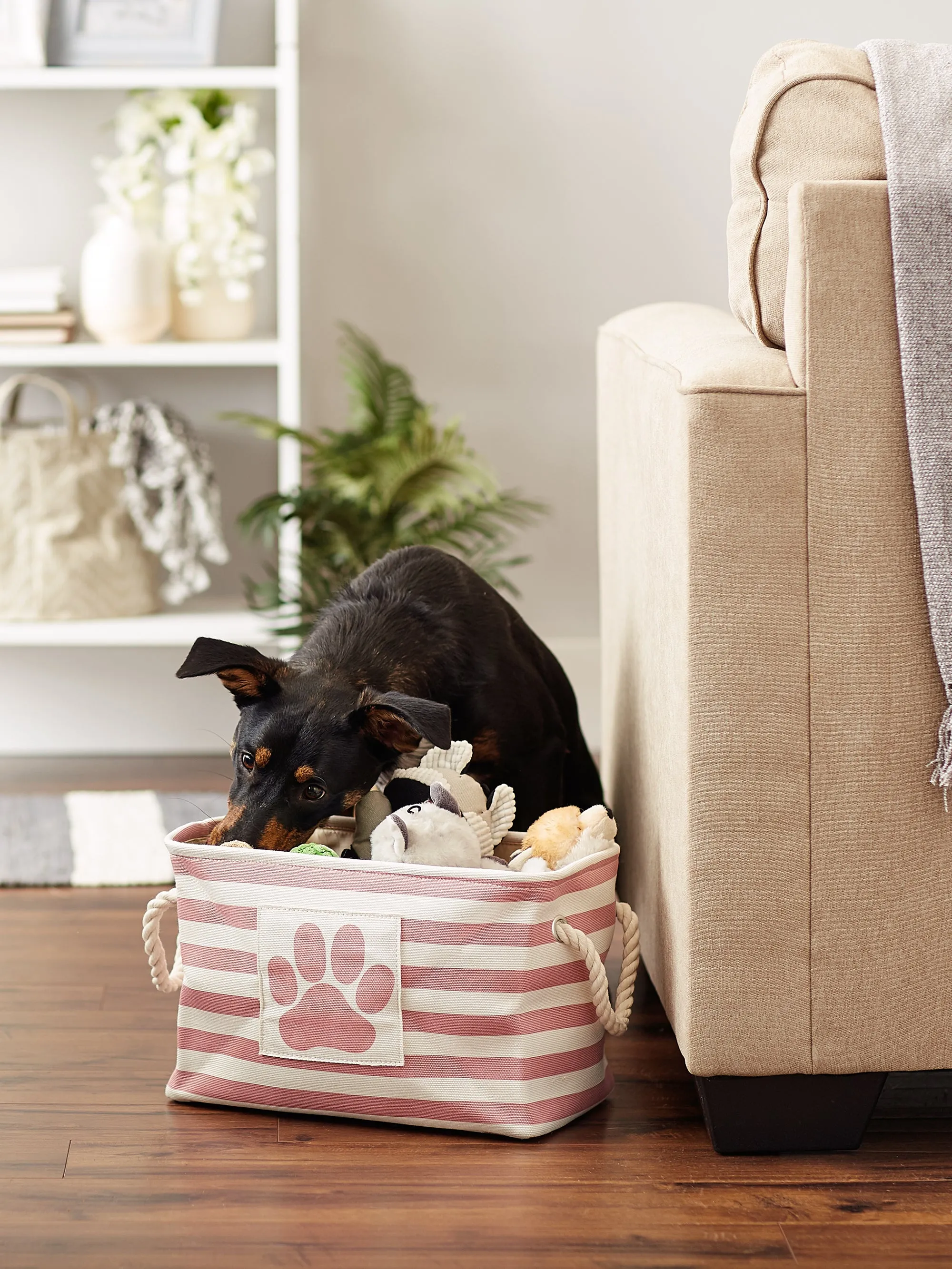 Bone Dry Pet Storage Bin, Striped Paw Patch, Rose, Small - 14x8x9"