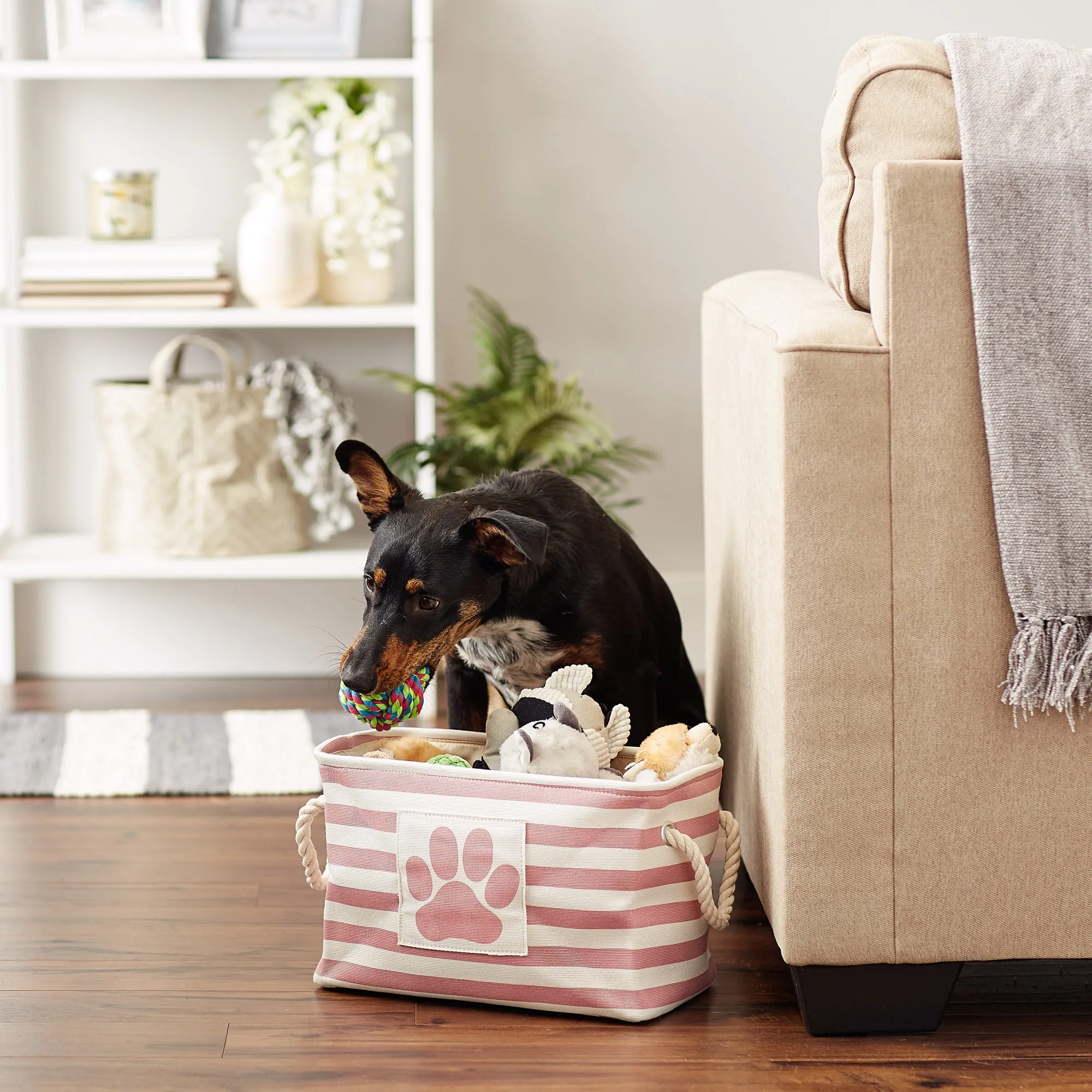 Bone Dry Pet Storage Bin, Striped Paw Patch, Rose, Small - 14x8x9"