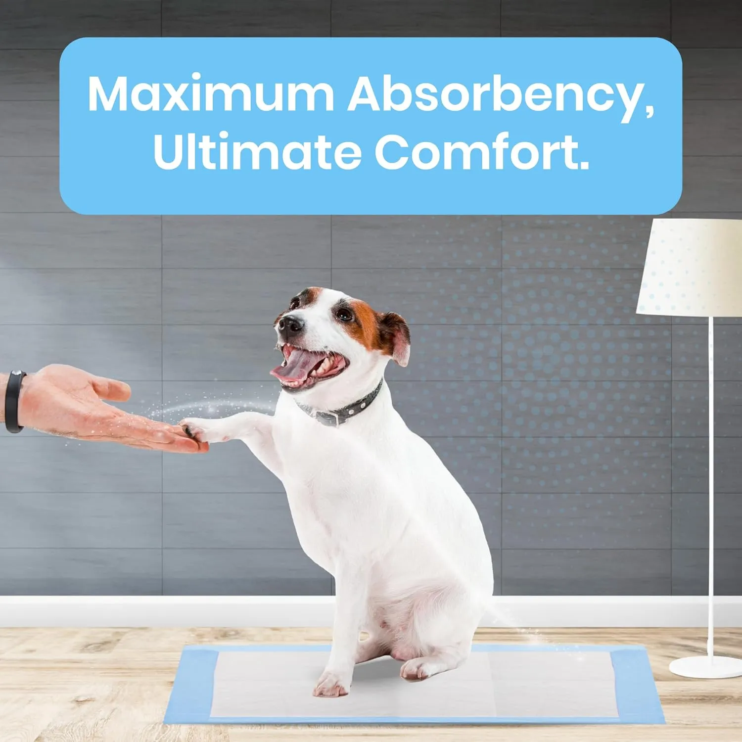 FPN Puppy Pee Pads for Dogs -100 Pack, (36x48 Inch) - XXL Heavy Duty 5-Layer Training Pads Instant Absorption, Leak-Proof, Odor Control, Extra Absorbent, Durable Puppies Dog Pads