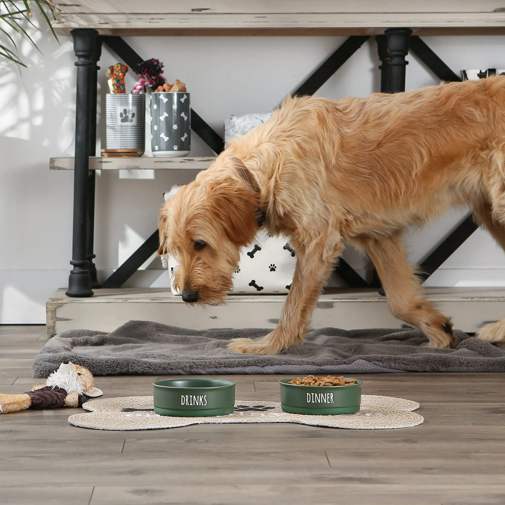 Hunter Green Dinner, Drinks & Dessert Pet Bowl Set/2, Medium - 1.5 C. Capacity