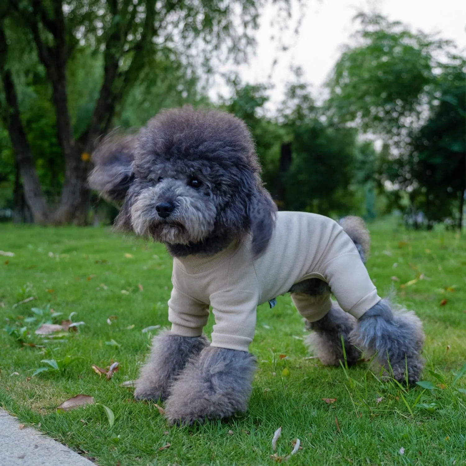 Lovelonglong Ribbed Dog Pajamas Cotton Knitted Dog Jumpsuits 4 Legged All Season Warm Pet Bodysuits for Large Medium Small Dogs Beige S