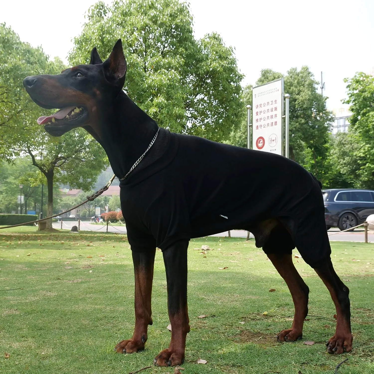 Lovelonglong Ribbed Dog Pajamas Cotton Knitted Dog Jumpsuits 4 Legged All Season Warm Pet Bodysuits for Large Medium Small Dogs Black S