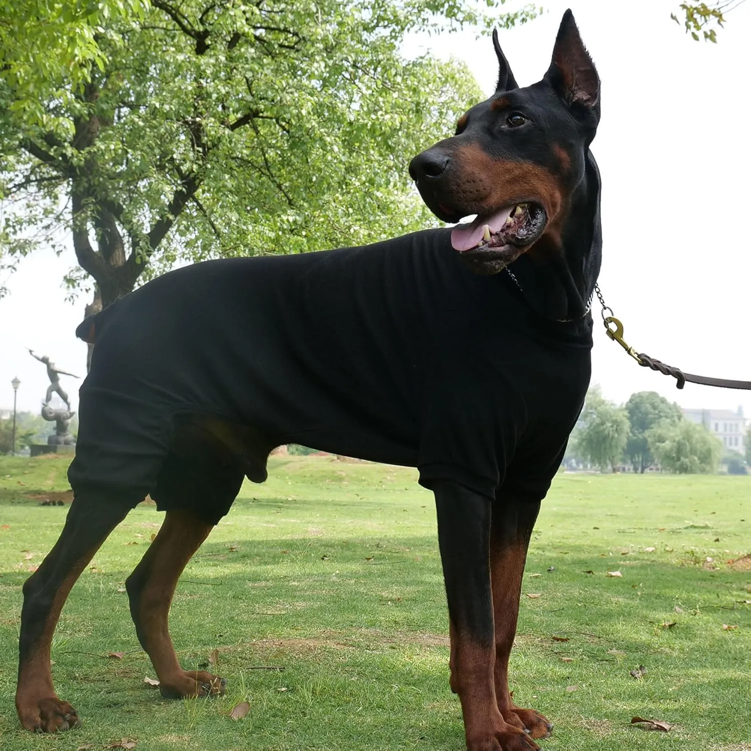 Lovelonglong Ribbed Dog Pajamas Cotton Knitted Dog Jumpsuits 4 Legged All Season Warm Pet Bodysuits for Large Medium Small Dogs Black S