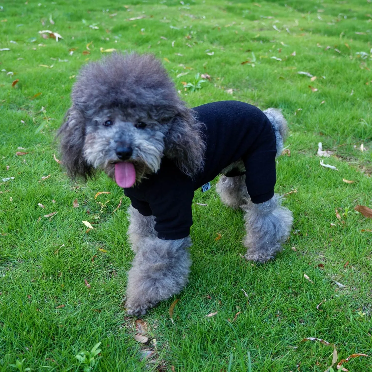 Lovelonglong Ribbed Dog Pajamas Cotton Knitted Dog Jumpsuits 4 Legged All Season Warm Pet Bodysuits for Large Medium Small Dogs Black S