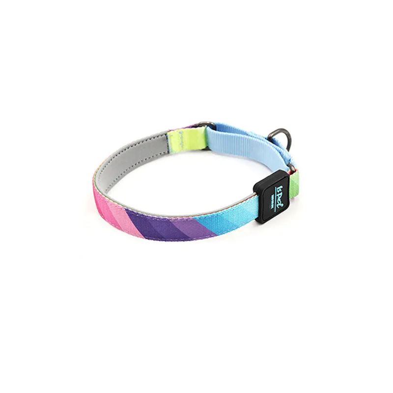 Martingale Training Dog Collars