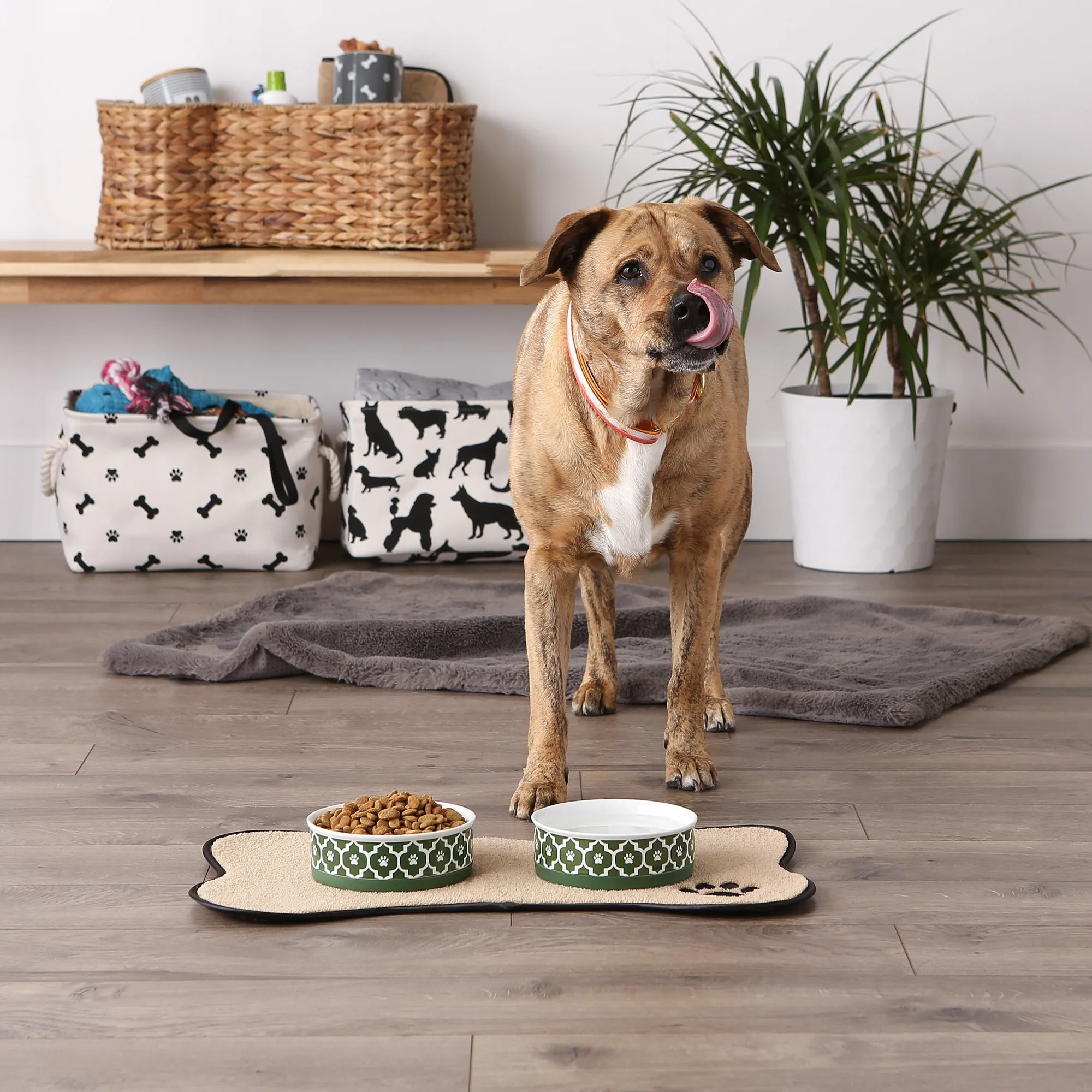Pet Bowl Lattice Hunter Green Medium 6Dx2H Set of 2