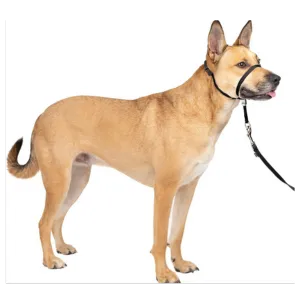 PetSafe Premier Gentle Leader Quick Release Dog Headcollar