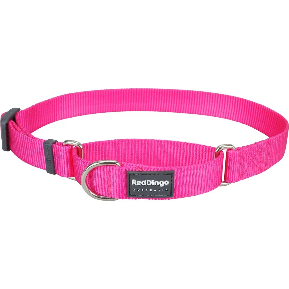 Red Dingo Classic Martingale Dog Collar 20mm