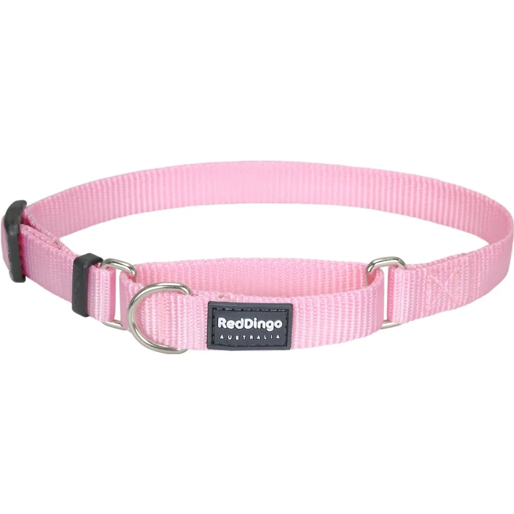 Red Dingo Classic Martingale Dog Collar 20mm