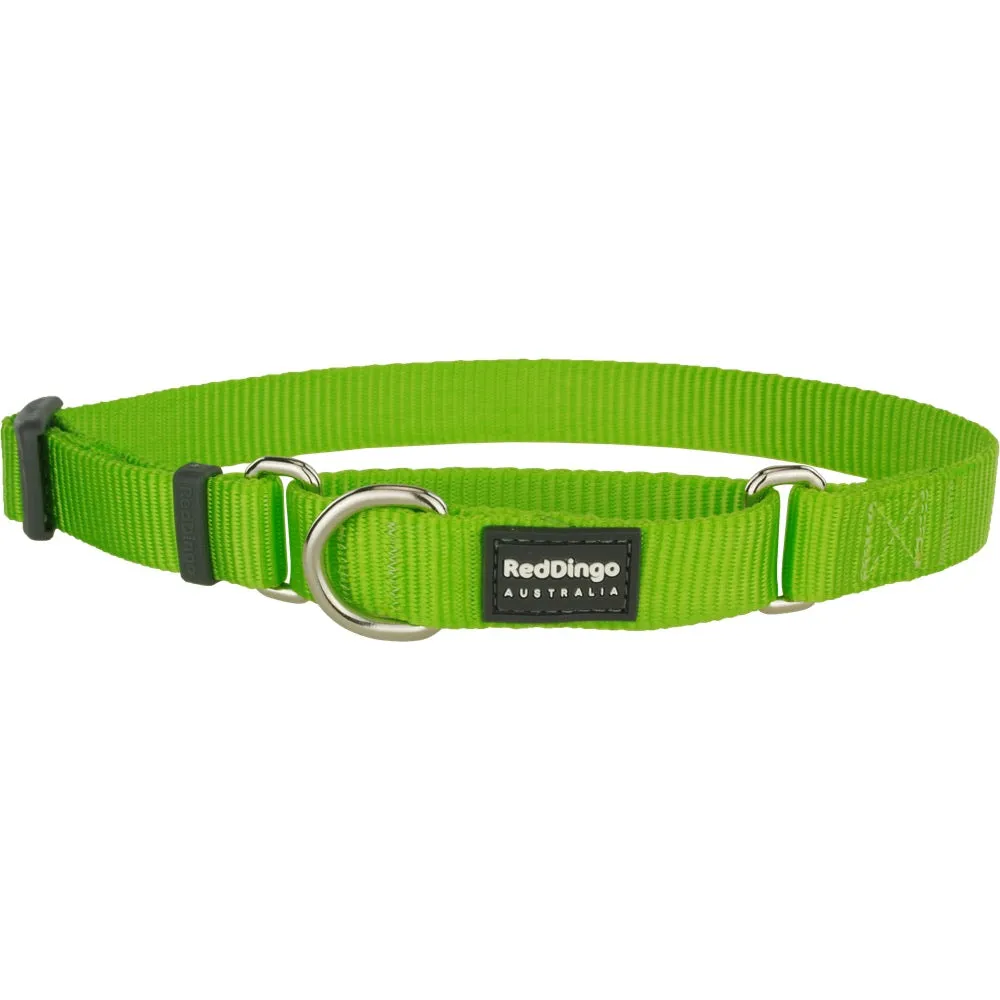Red Dingo Classic Martingale Dog Collar 20mm