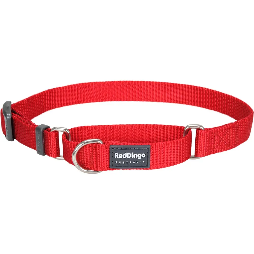 Red Dingo Classic Martingale Dog Collar 20mm
