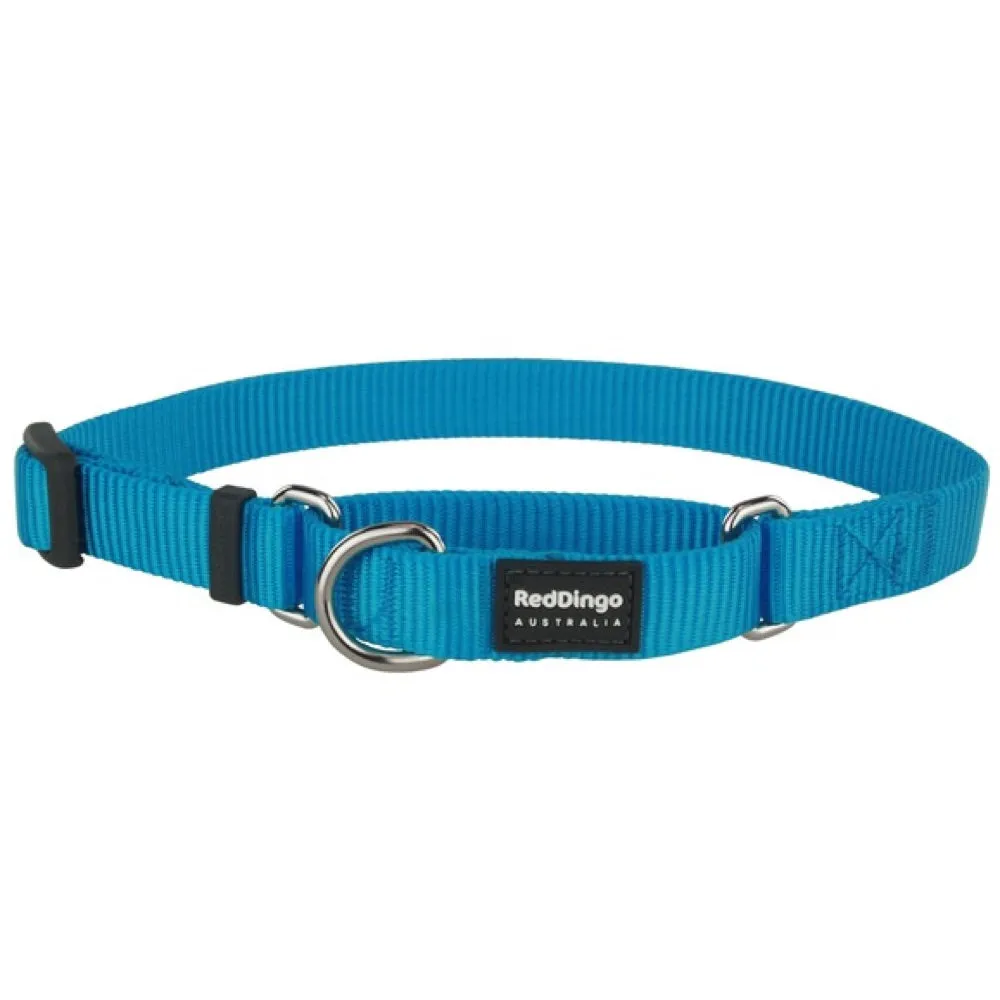 Red Dingo Classic Martingale Dog Collar 20mm