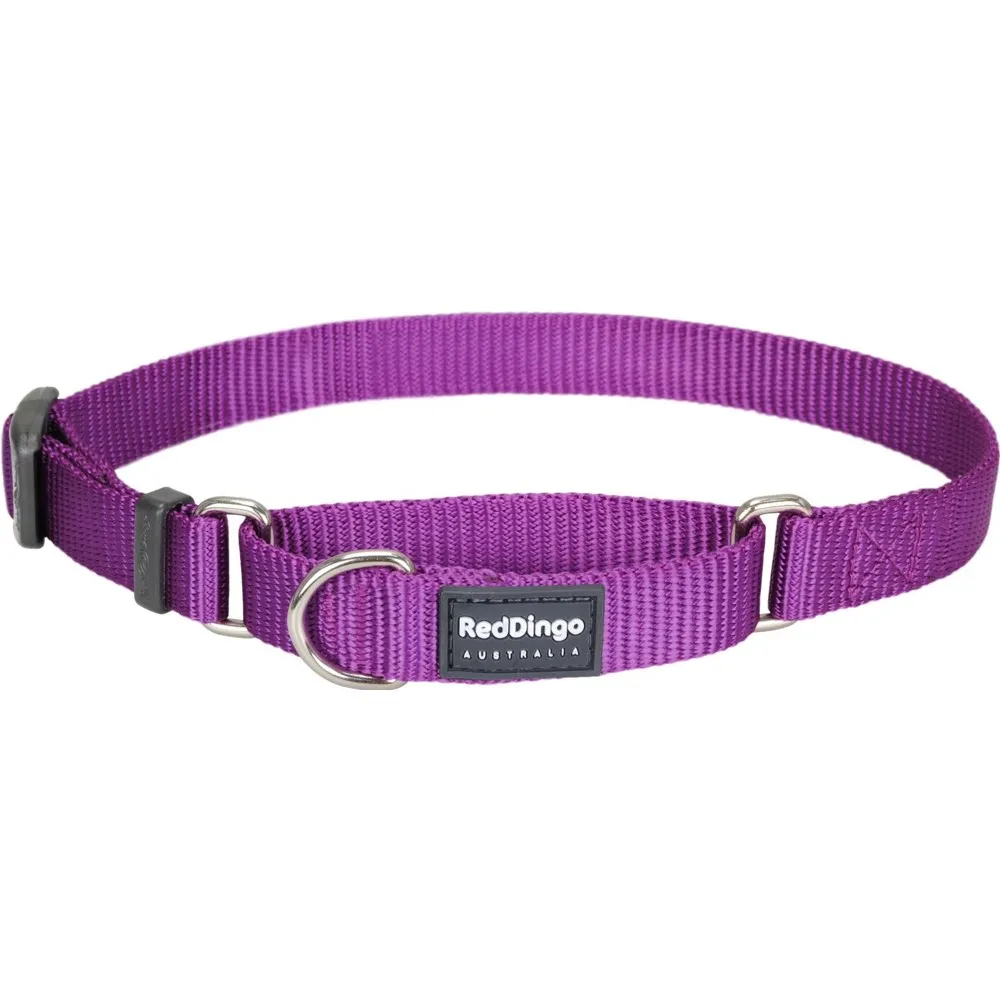 Red Dingo Classic Martingale Dog Collar 20mm