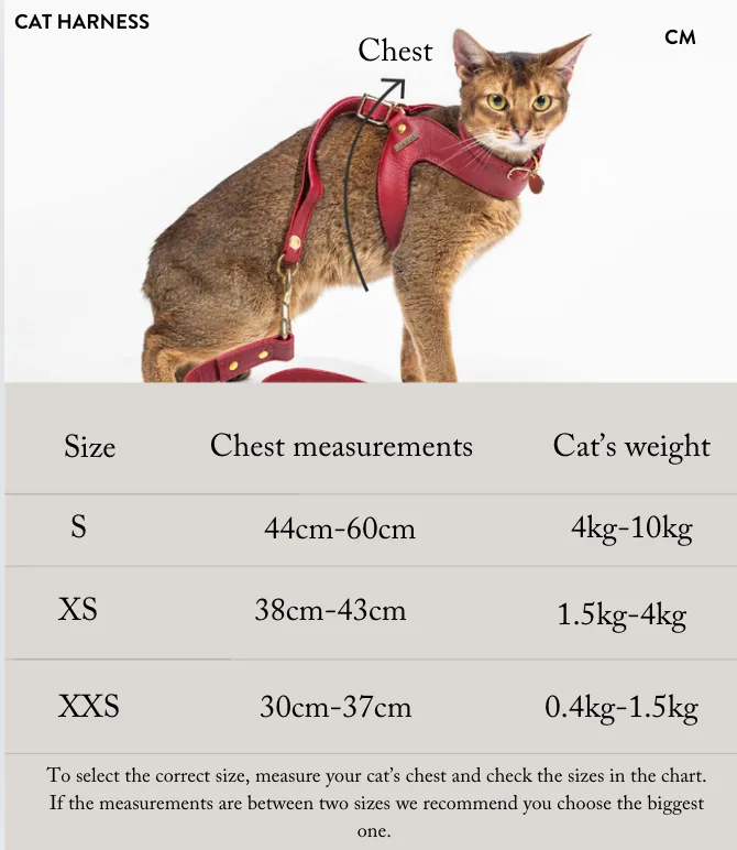 Scarlet Red Leather Cat Harness