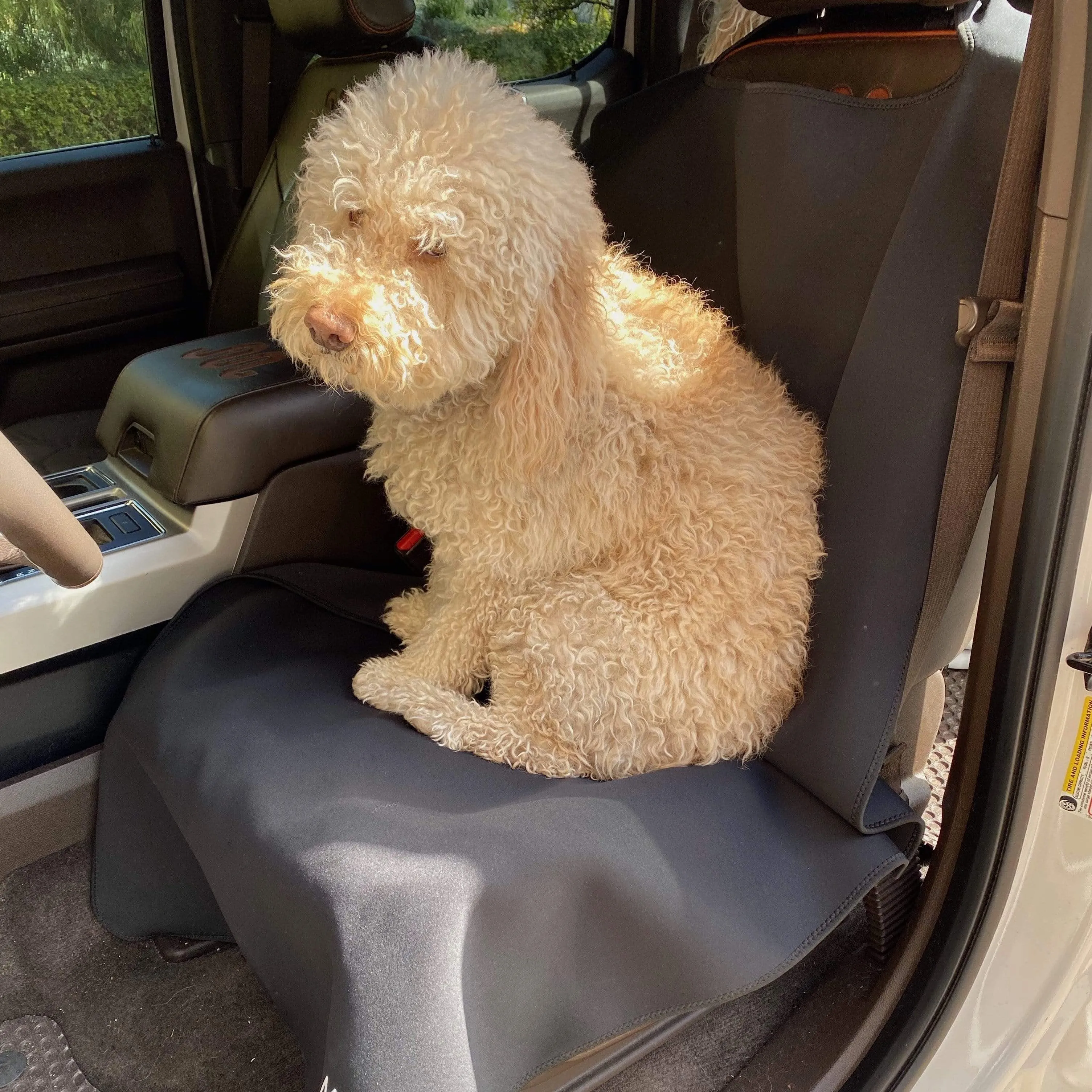 SeatGuard Non-Slip Waterproof Car Seat Cover (2 Pack)