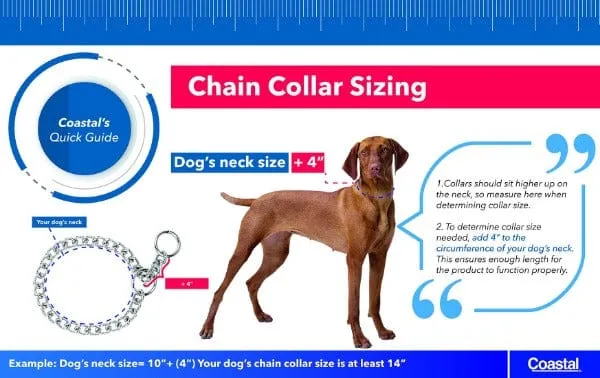 Titan Chain Training Dog Collar