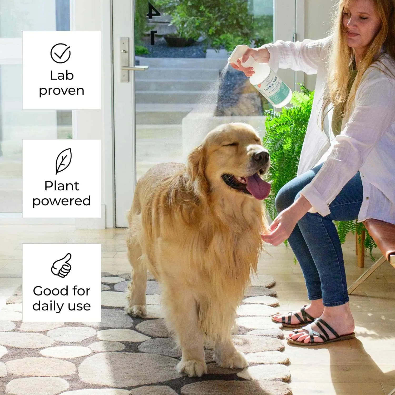 Wondercide Flea, Tick & Mosquito Control Spray for Pets   Home